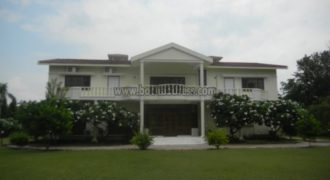 4 BHK Semi Furnished Farmhouse for Corporate in Gadaipur, Sultanpur Long term Rent/Lease
