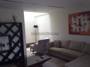 2 BHK Service Apartment Flat Vasant Vihar South Delhi Rent (3)