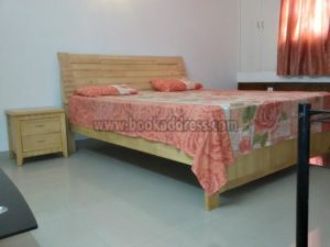 3 BHK Furnished Apartment Flat Greater Kailash Enclave-1 South Delhi Rent (5)