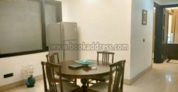 3 BHK Luxury Service Apartment/Flat Defence Colony for Long Rent/Lease