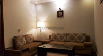 Rent/Lease 1 BHK Apartment/Flat Greater Kailash-1