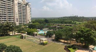 4 BHK DLF Magnolias Apartment/Flat Gurgaon for Rent/Lease