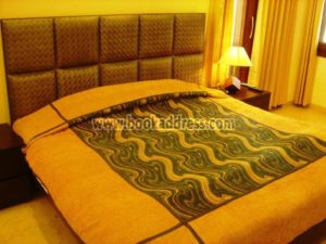 3 BHK Service Apartment Uday Park South Delhi Rent (11)