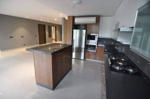 2 BHK plus study jor bagh rent & lease (6)